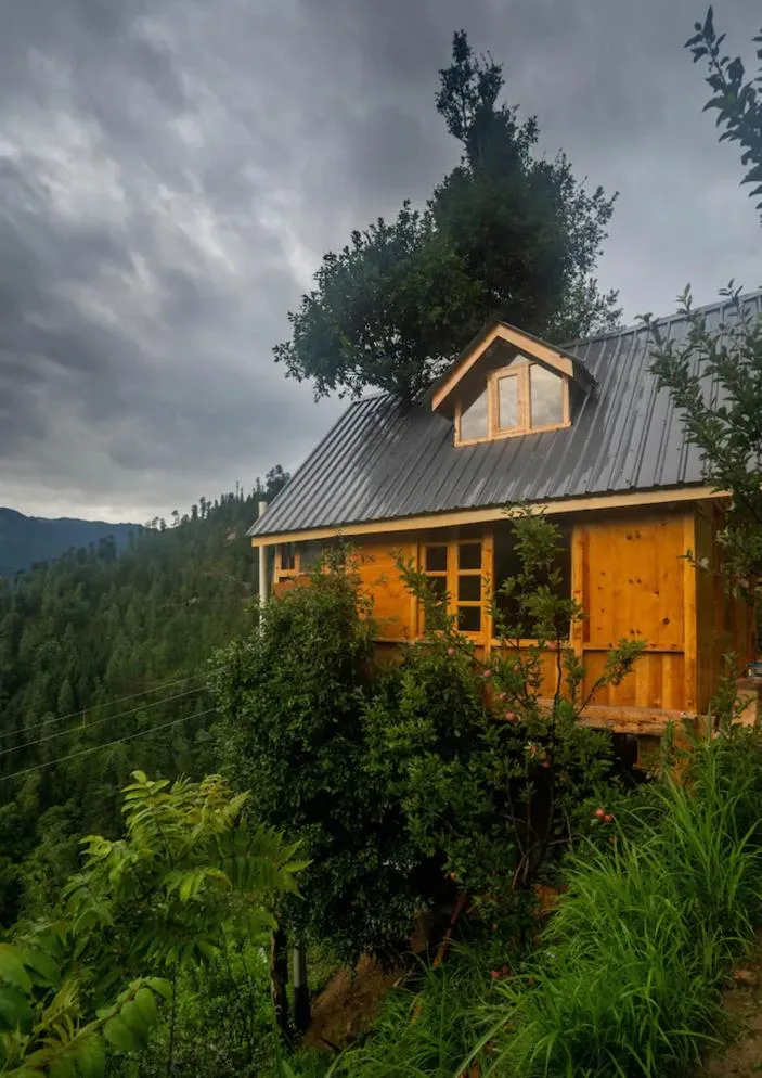 Warm and inviting interior of a wooden treehouse accommodation in Jibhi, Himachal Pradesh, with views of the surrounding pine forest.