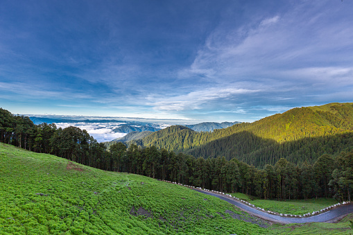Serene landscape of Jibhi village nestled in Tirthan Valley, Himachal Pradesh, surrounded by mountains and pine trees.