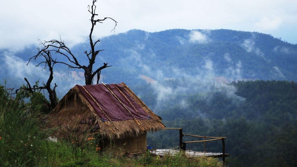 jibhi tour package
